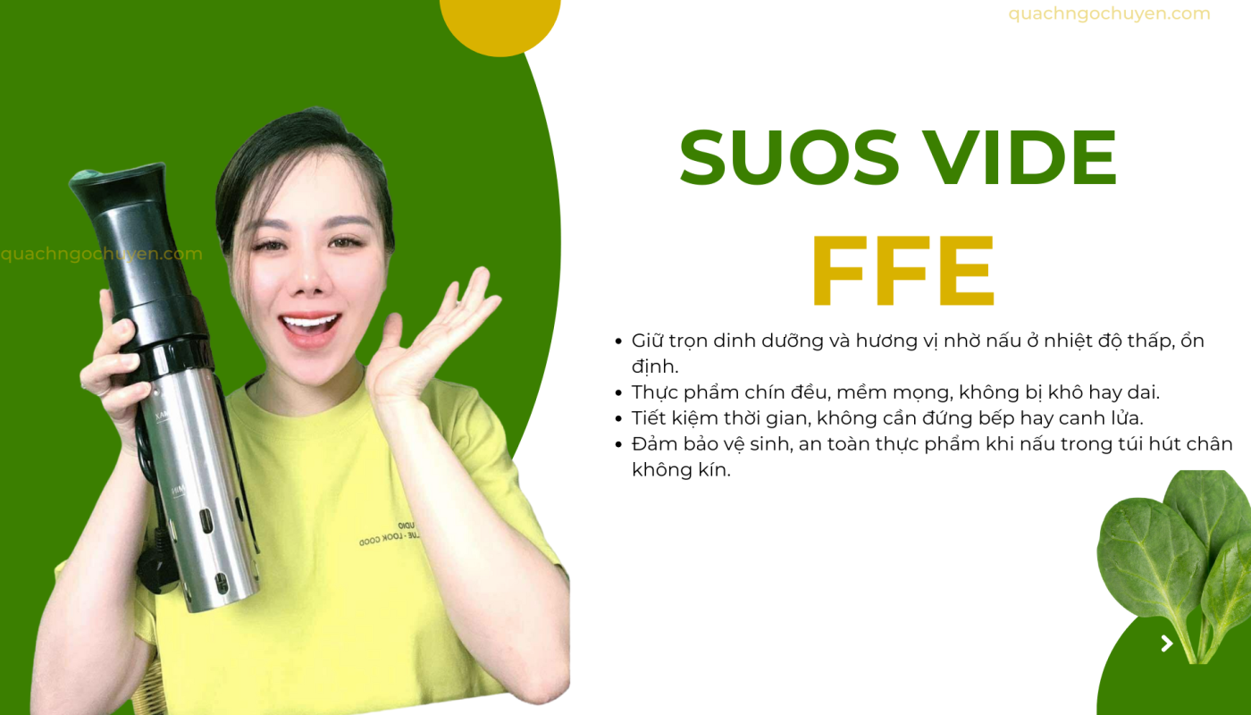 Máy Nấu Chân Không sous Vide FFE