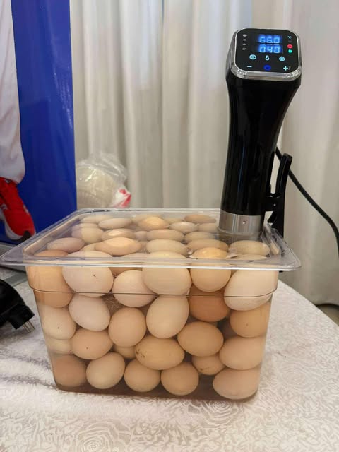 Máy Nấu Chậm Sous Vide FFE