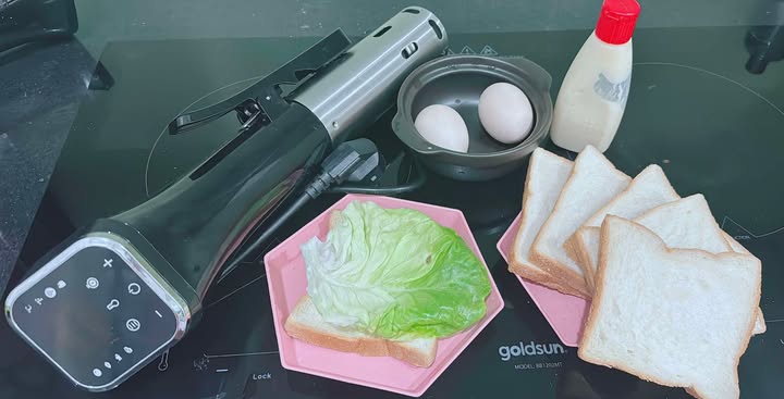 Máy Nấu Chân Không Sous Vide FFe 