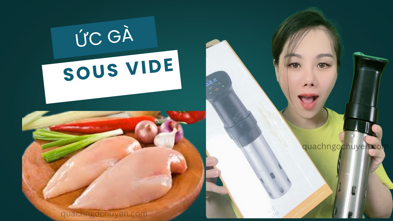 Máy Nấu Chân Không Sous Vide FFe