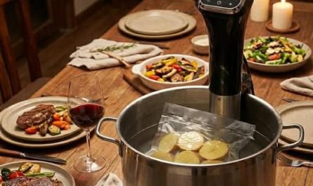 Máy Nấu Chân Không Sousvide FFe