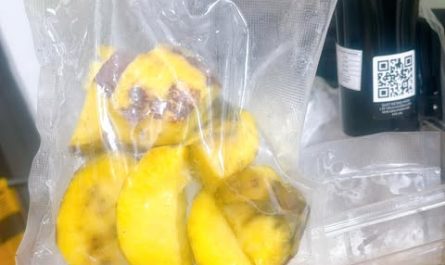 Máy Nấu Chân Không Sousvide FFE