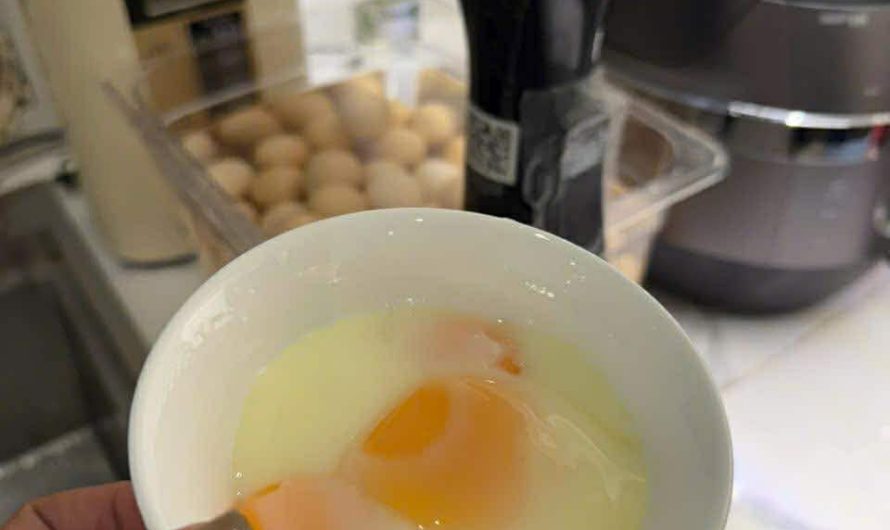 Sous Vide FFE Có Tốn Điện Không? Sự Thật Người Mua Nên Biết.