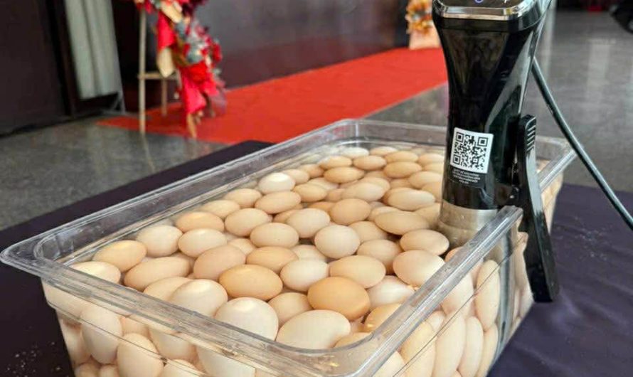 Trứng onsen sous vide ngon khó cưỡng – Món ăn đơn giản khiến ai cũng bất ngờ.
