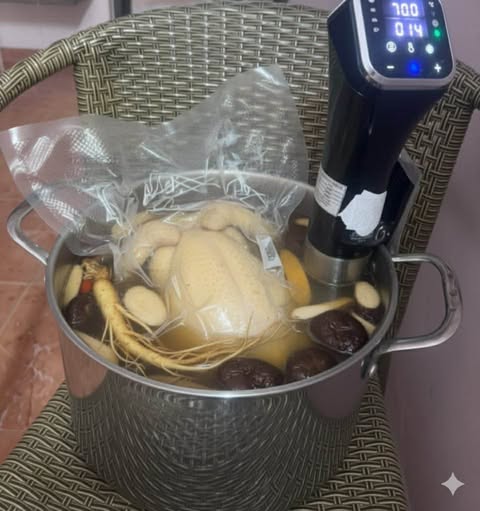 Máy Nấu Sousvide FFE